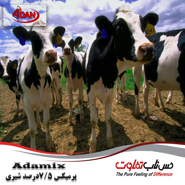پیش مخلوط 7.5 درصد گاو شیری (+Adamix)